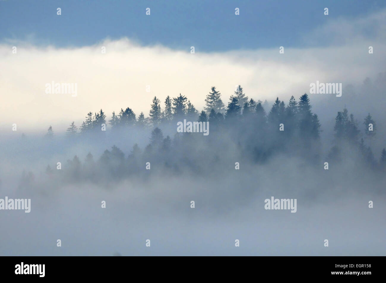 Insel im Nebel Stockfoto