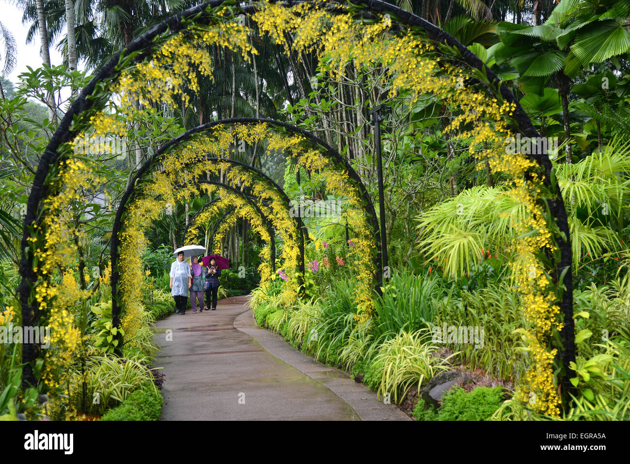 Botanische Garten Singapur Stockfotos Botanische Garten Singapur