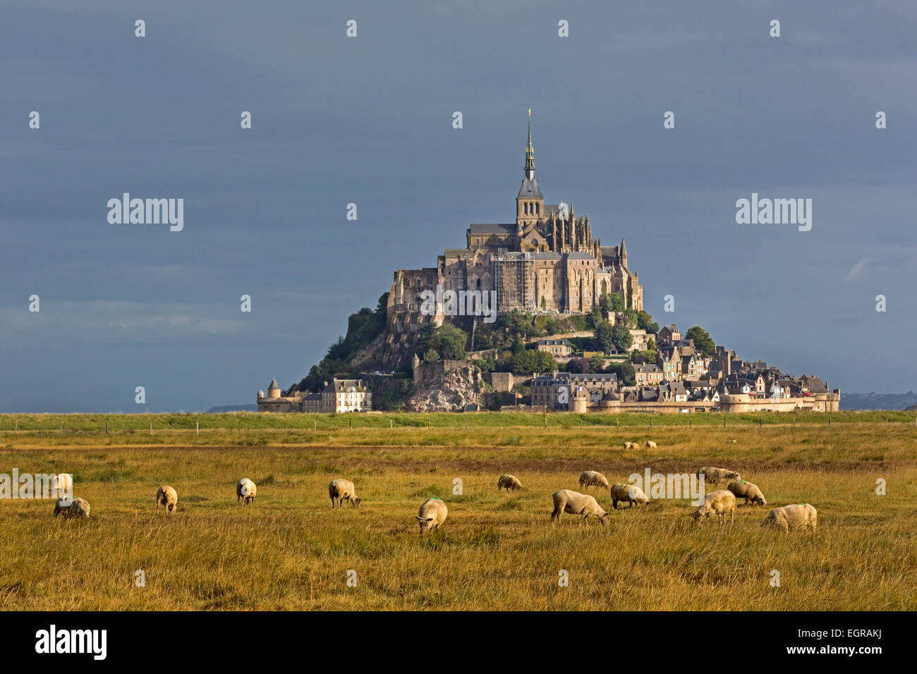 Mont St. Michel, Le Mont Saint-Michel, Normandie, Frankreich Stockfoto