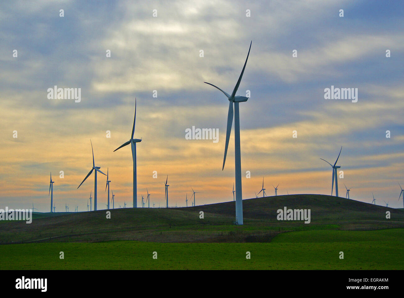 Rio Vista Windmill Farm bei Sonnenuntergang in Solano County in Kalifornien Stockfoto