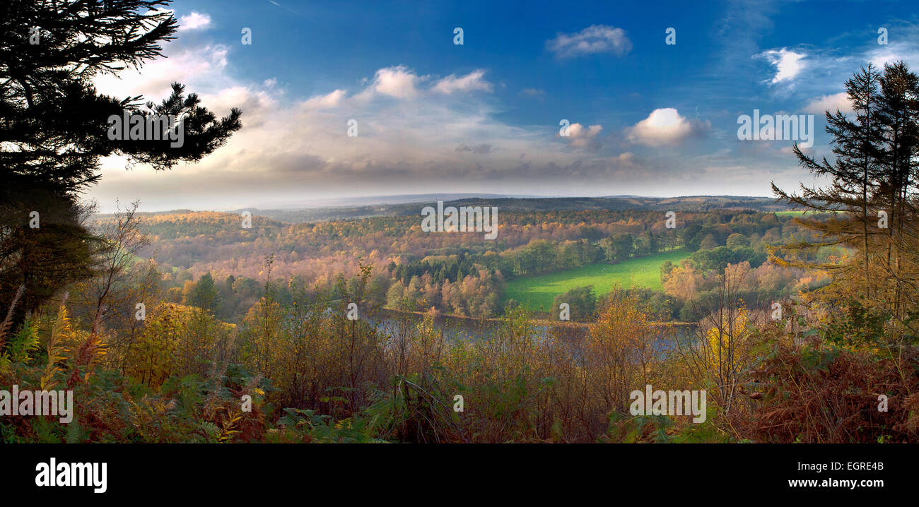 Panorama vom Rand des Cropton Waldes, North Yorkshire, UK. Stockfoto