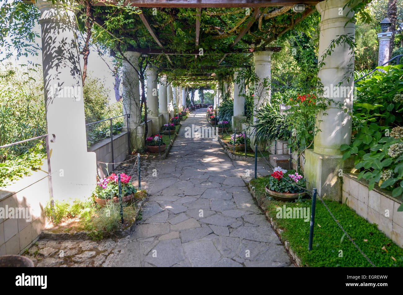 Augustus Gardens Capri Stockfotos & Augustus Gardens Capri