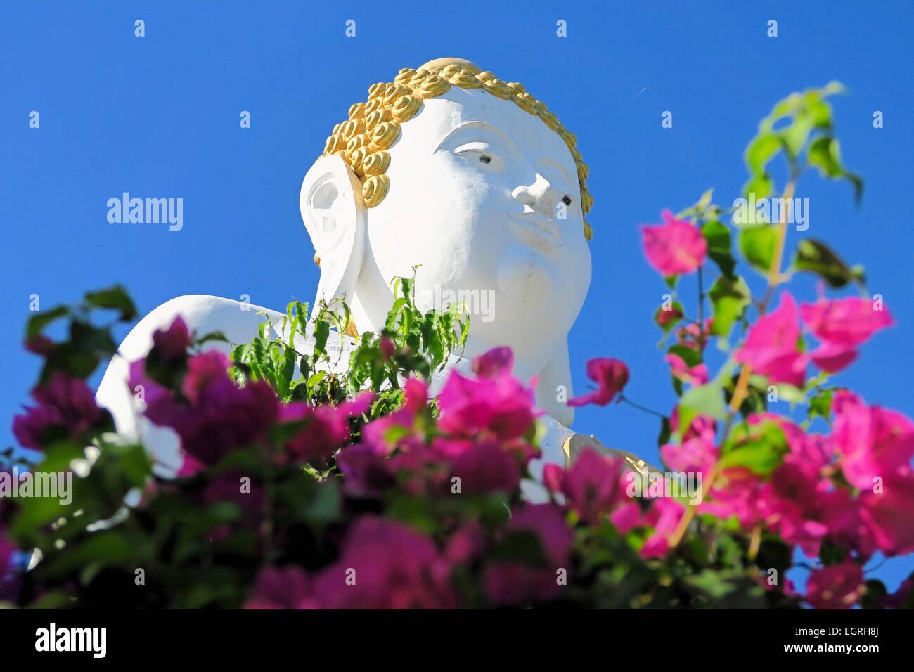 Sitzende Buddha-Statue im Norden Thailands Stockfoto