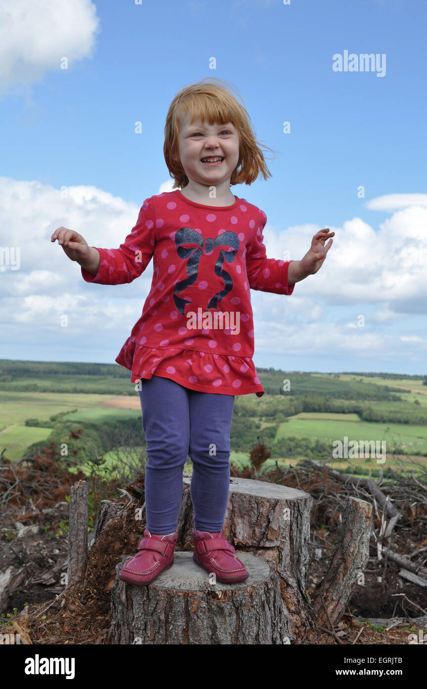 3-jähriges Mädchen stehen auf einem Baumstumpf Stockfoto