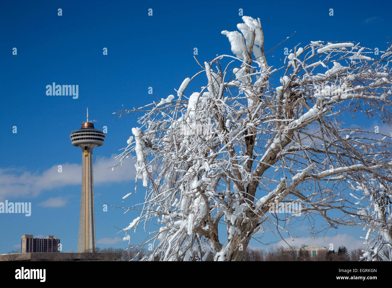 Niagara Falls, New York - Rahmen ein Baumes ummantelt Eis aus Gischt der Niagarafälle Skylon Tower. Stockfoto