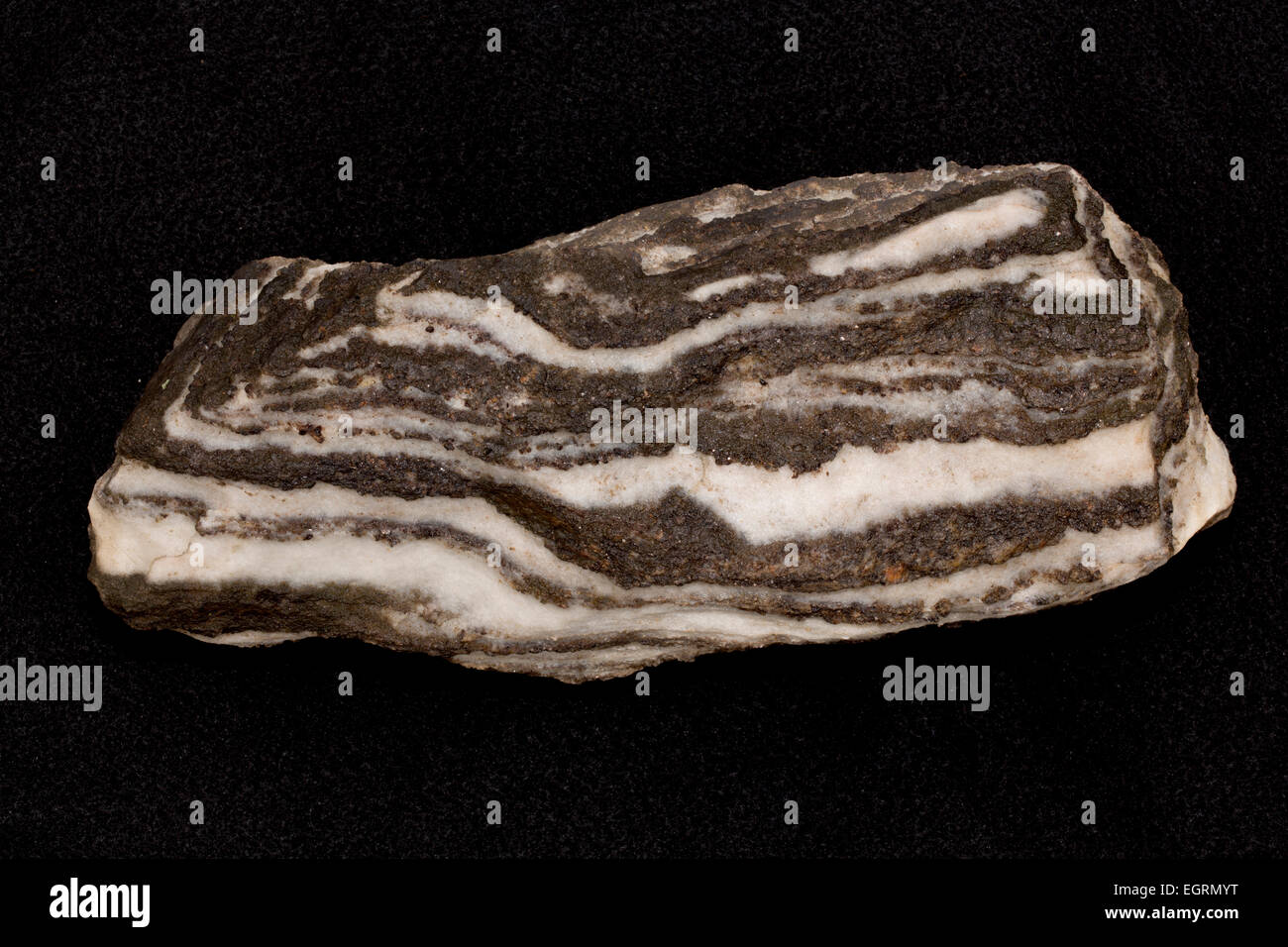 Blattkreuzes Gneis, Maryland, USA, metamorpher Felsen Stockfoto