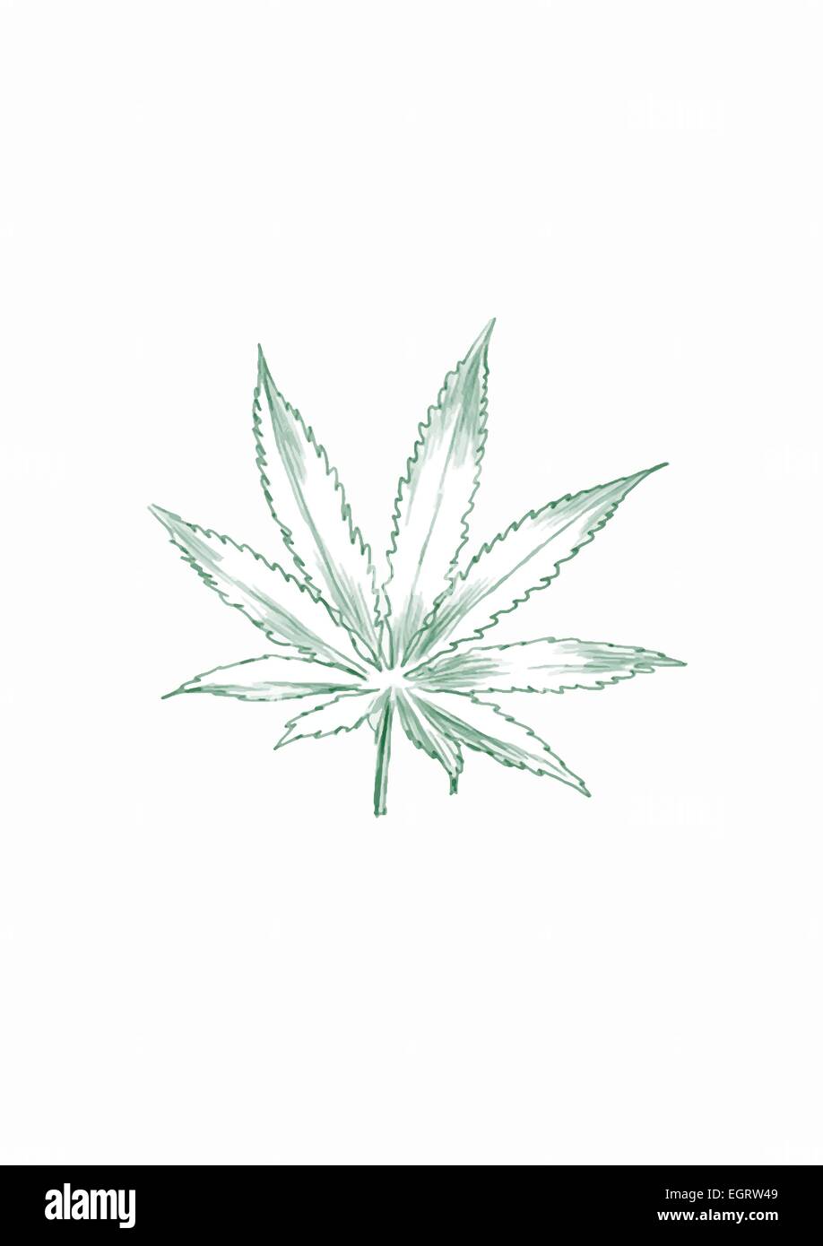 Marihuanablatt - eine handgezeichnete Abbildung Stock Vektor