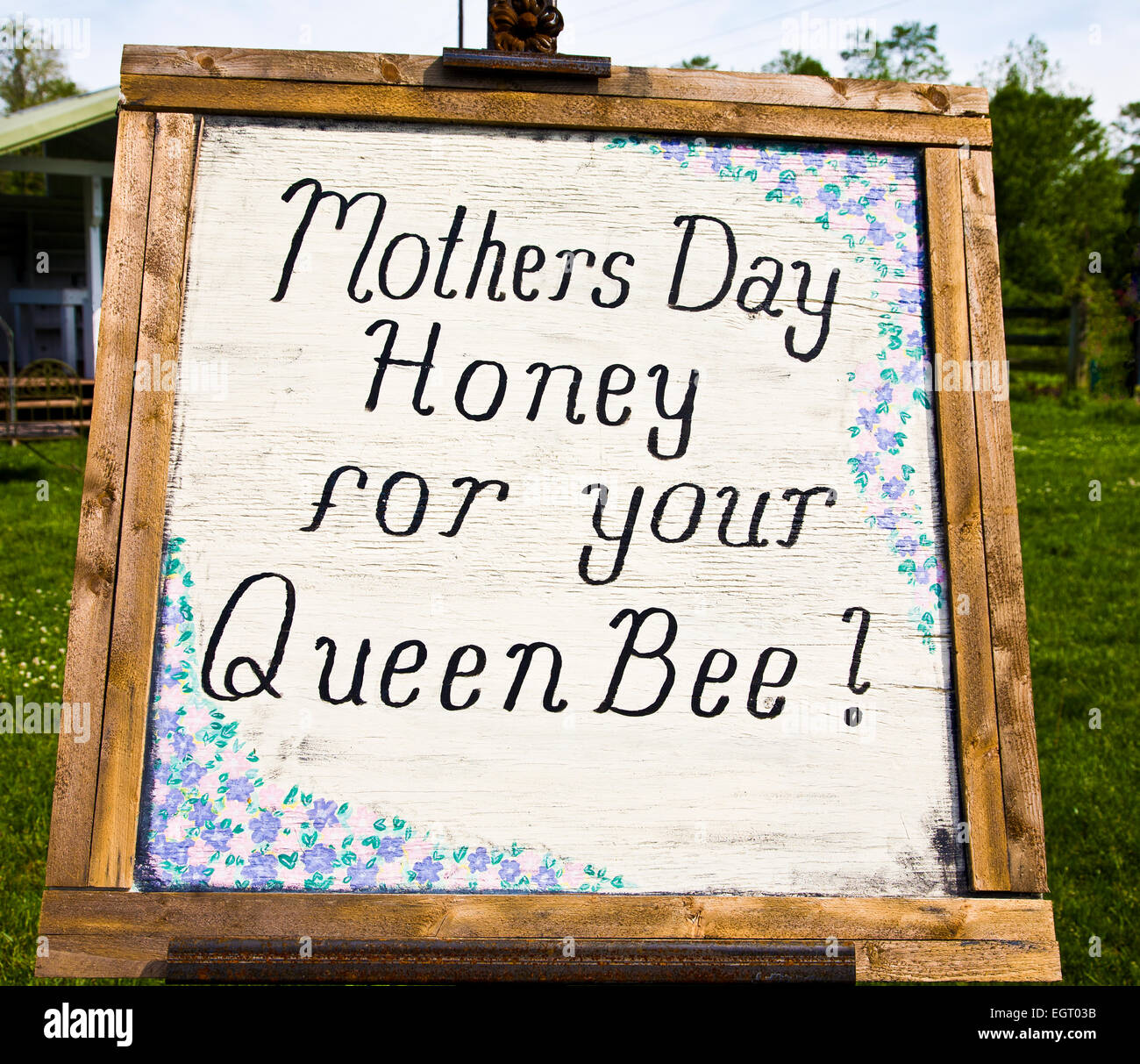 Honigbiene Bauernhof Geschäft Schild Werbung Honig zum Verkauf für Mothers Day, Monmouth County, Freehhold Twp., New Jersey, USA, Sale vintage ad Humor, 13,46 mb Stockfoto