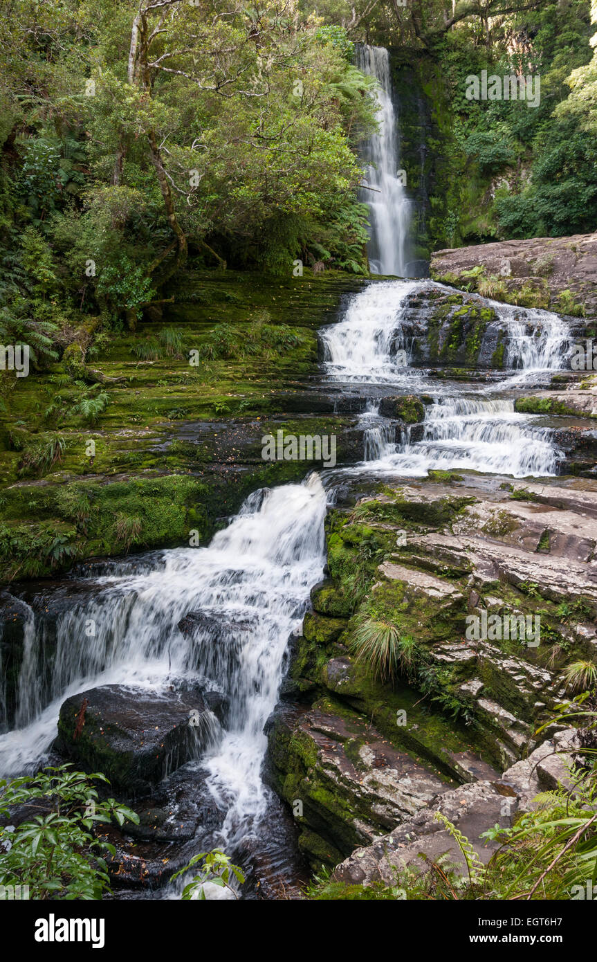 McLeans Wasserfälle am Fluss Tautuku in den Catlins Conservation Park, Southland, Südinsel, Neuseeland. Stockfoto