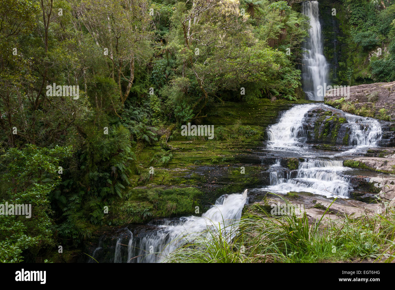 McLeans Wasserfälle am Fluss Tautuku in den Catlins Conservation Park, Southland, Südinsel, Neuseeland. Stockfoto