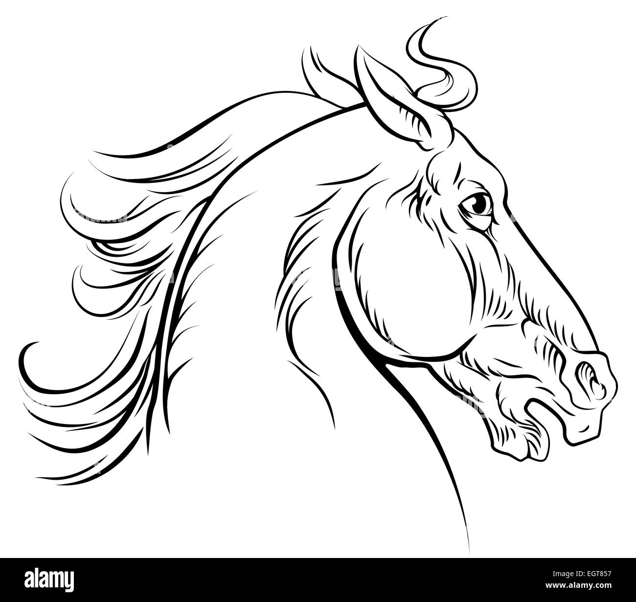 Ein original-Illustration ein Pferdekopf in einem Vintage Holzschnitt-Holzschnitt-Stil Stockfoto