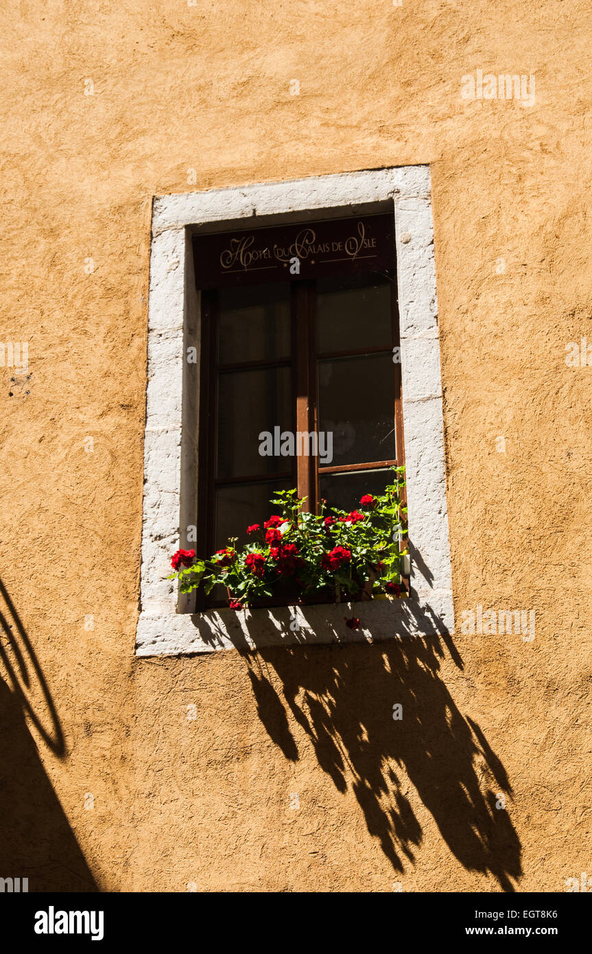 Französische Fenster blühenden Knospen des Sommers Strahl boswell Stockfoto