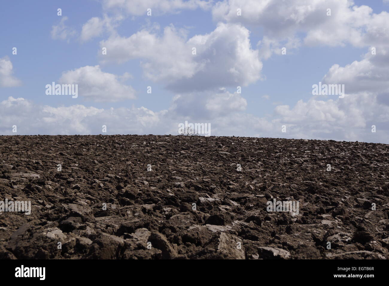 Frisch gepflügten Feld, Boden, Schlamm, mit klaren Horizont, blauer Himmel und Wolken. Stockfoto