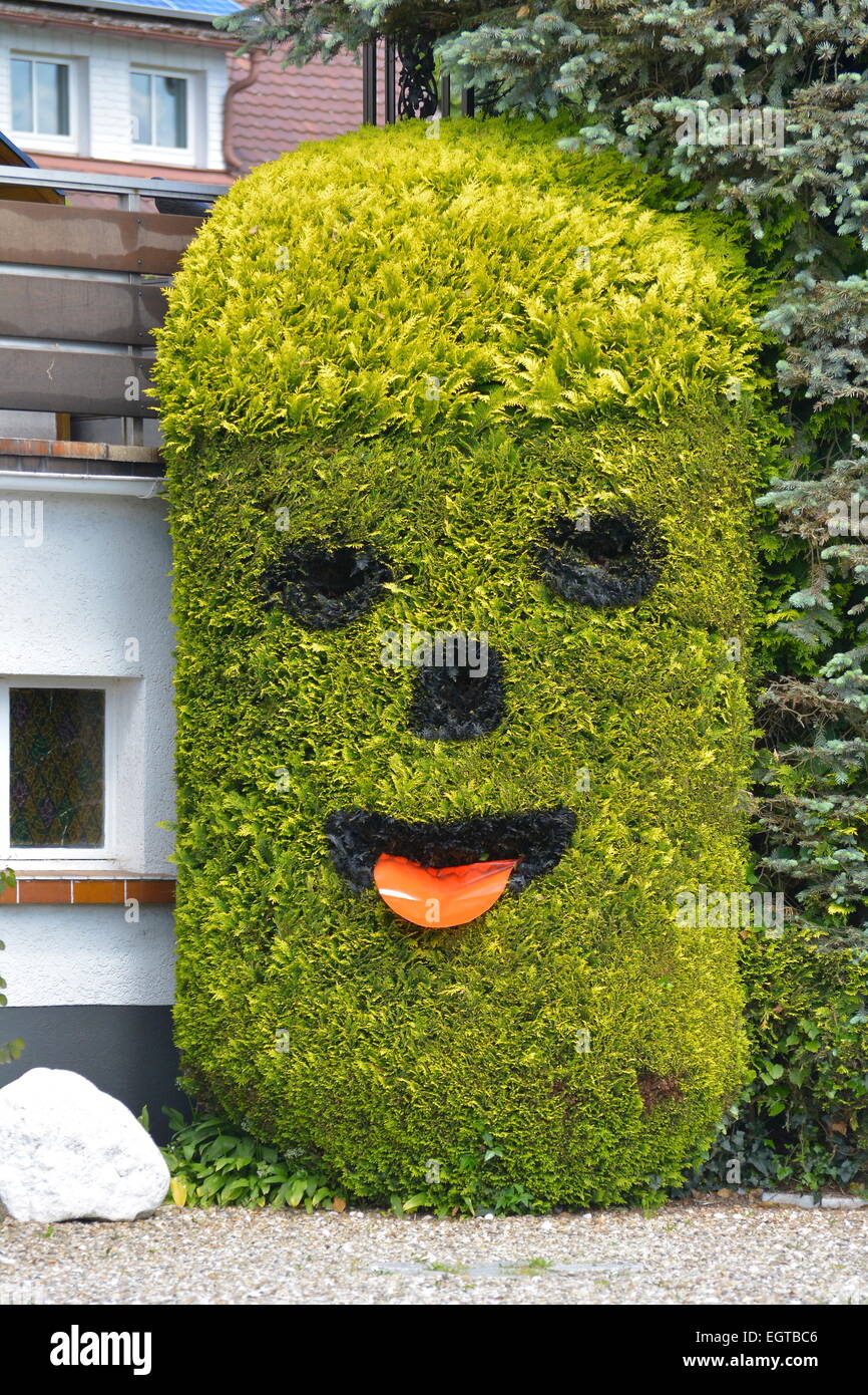Schwarzwald, Baden-Wrttemberg, Hochschwarzwald, Bei St. Peter, Garten- Formschnitt von Koniferen, sich aus Thuja Stockfotografie - Alamy