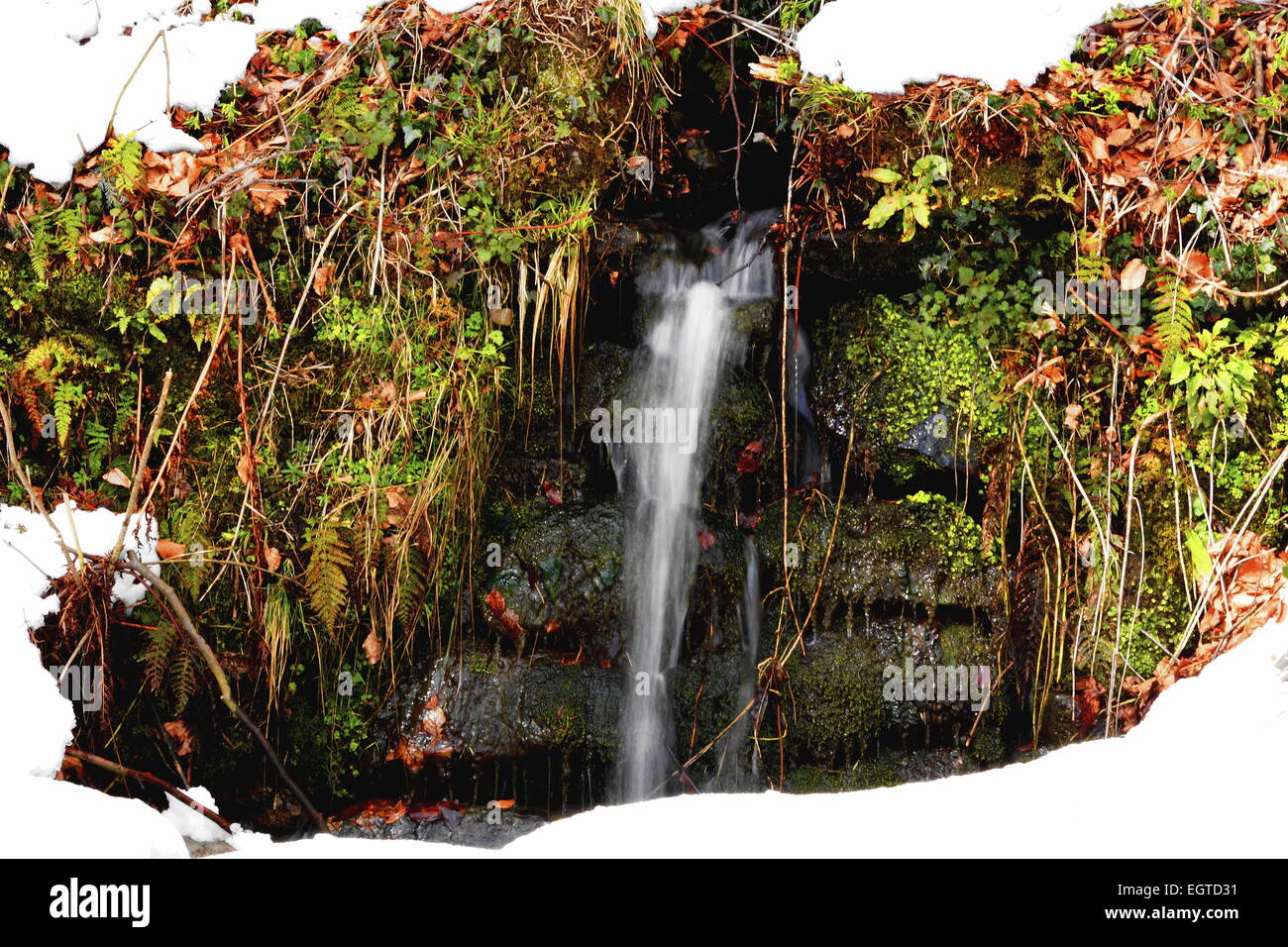 Mini-Wasserfall erscheinen aus sehr alten Moos bedeckt Steinmauer Hintergrund braun grünen, leuchtend weißen Schnee. Stockfoto