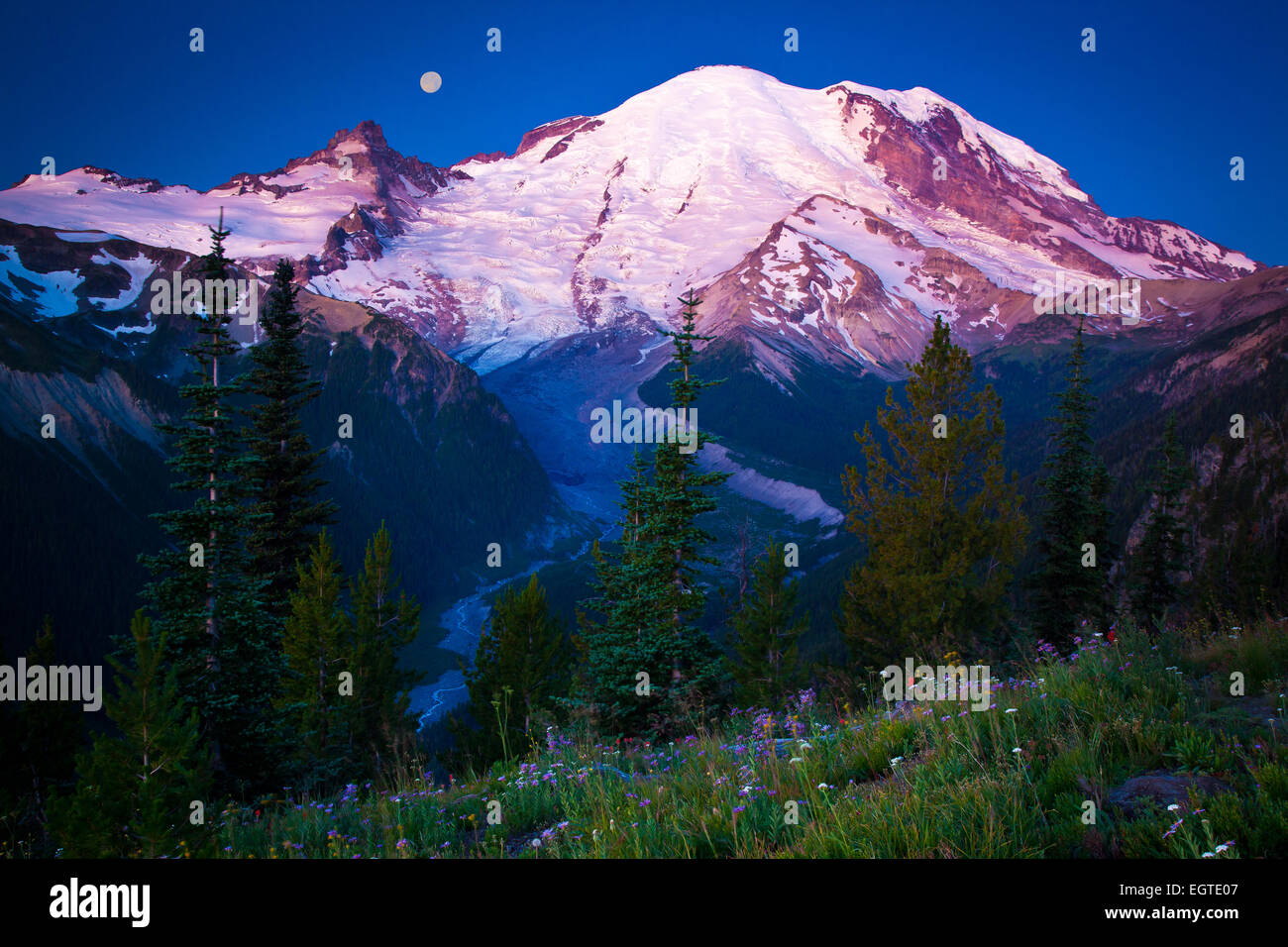 Sonnenaufgang am Mount Rainier Sunrise Bereich mit den White River unter Stockfoto