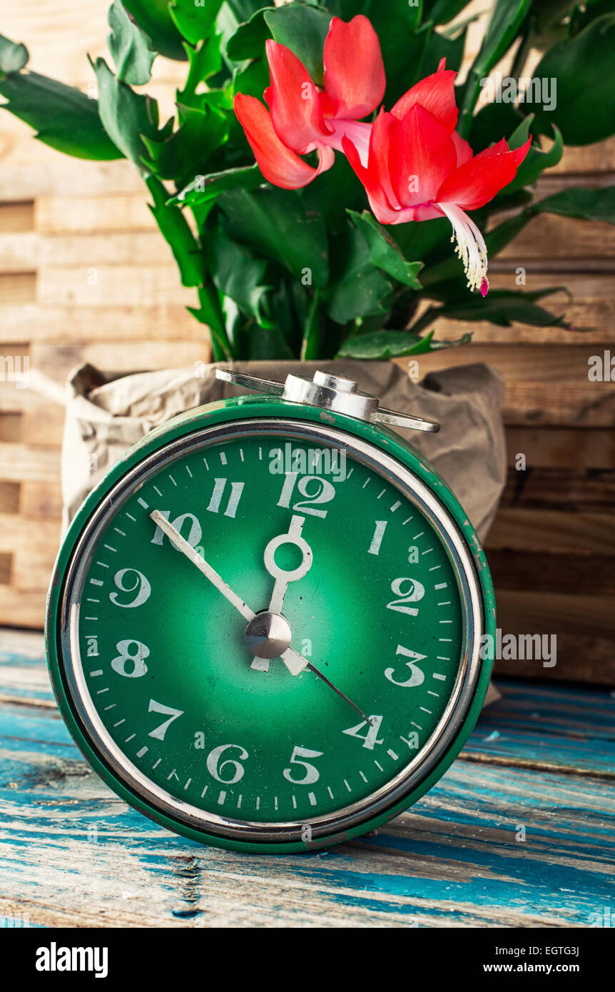 Symbol für Frühlingsgrün Uhr und blühende Blume. Bild ist im Vintage-Stil getönt. Stockfoto