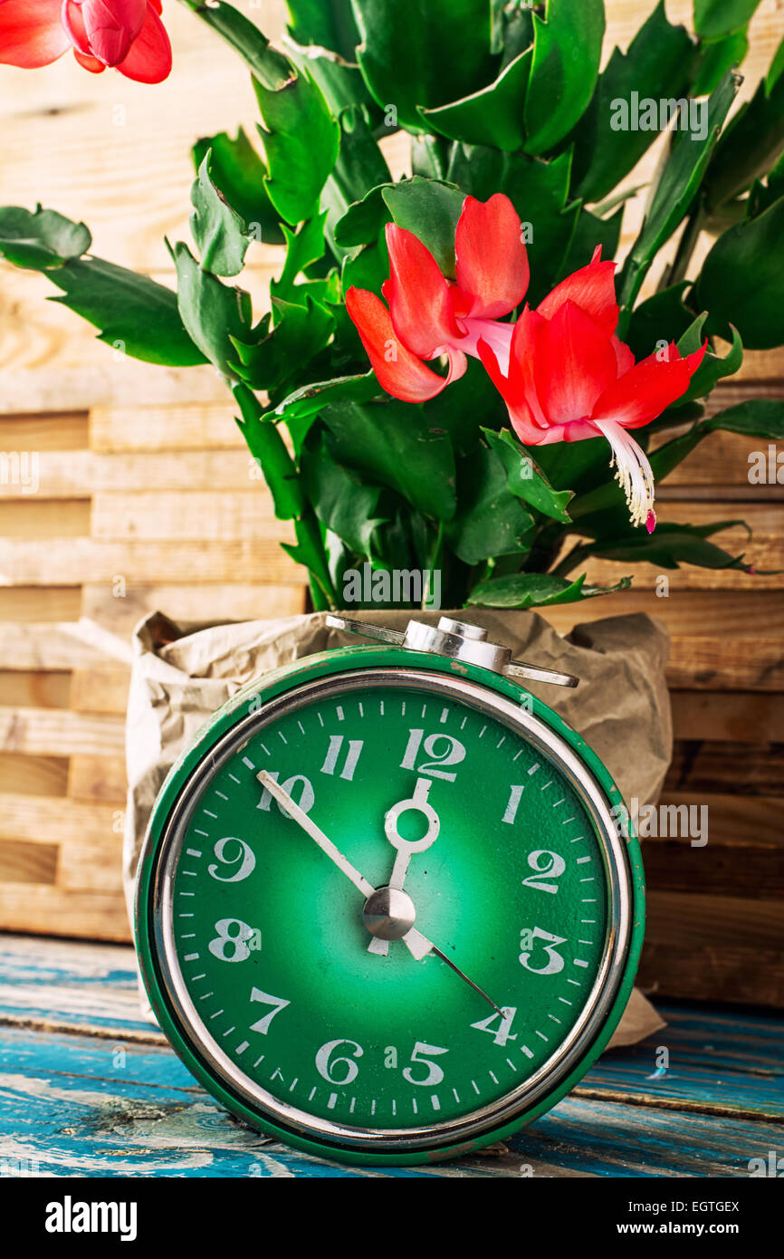 Symbol für Frühlingsgrün Uhr und blühende Blume. Bild ist im Vintage-Stil getönt. Stockfoto