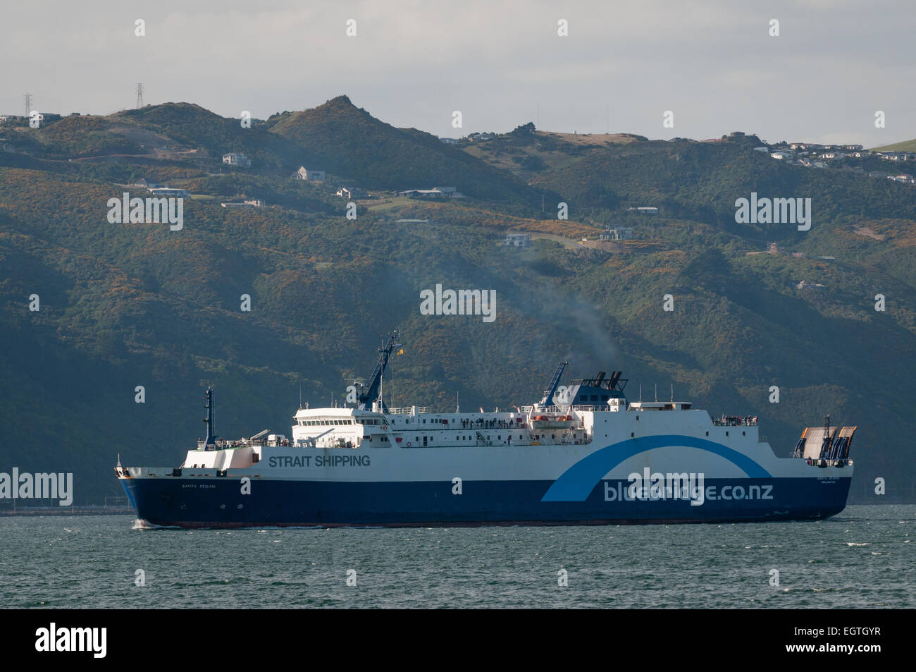 Blue Bridge ferry nahenden Wellington, Nordinsel, Neuseeland. Stockfoto
