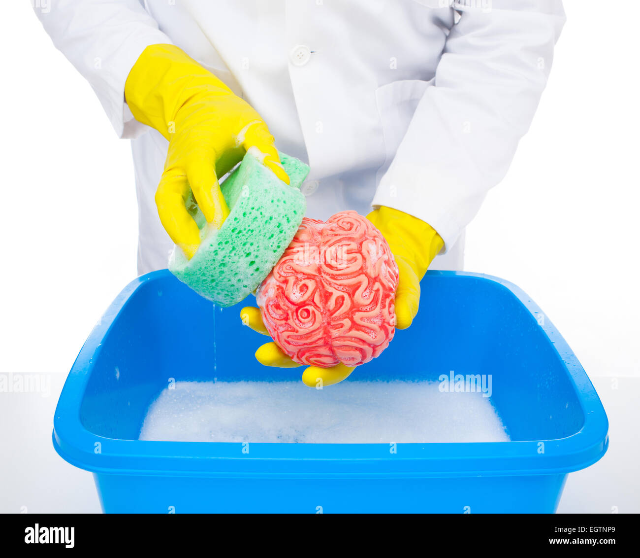 Metapher des Gehirnwäsche, Arzt wäscht das Gehirn mit dem Schwamm. Stockfoto