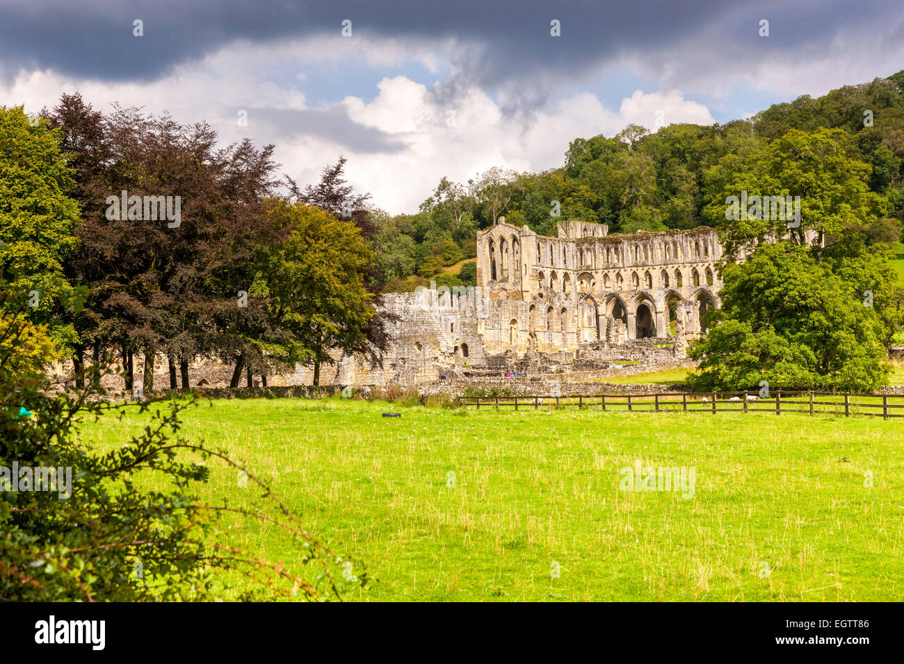 Ruinen von Rievaulx Abbey, North Yorkshire, England, Vereinigtes Königreich, Europa. Stockfoto