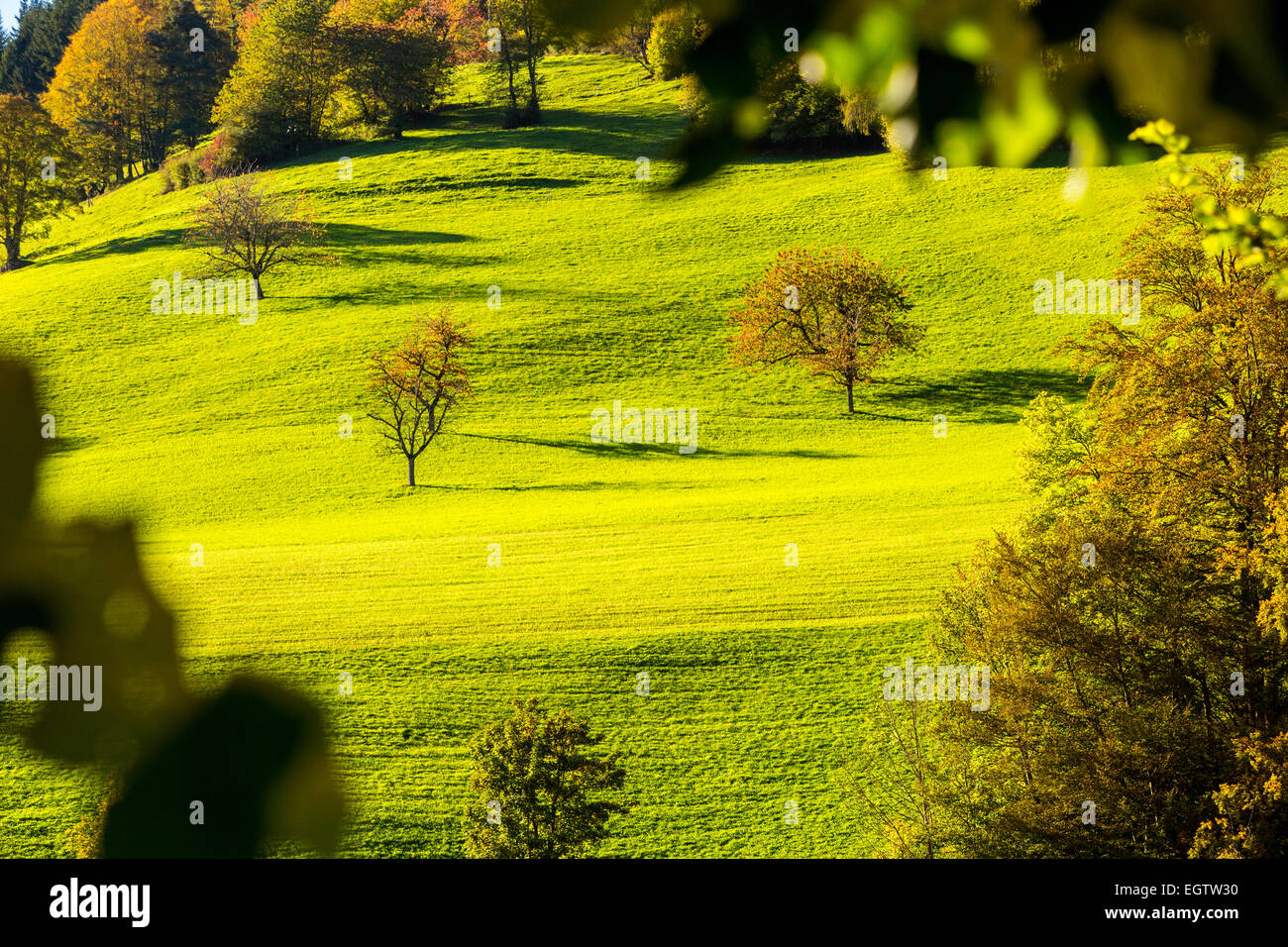 Landschaft am Rand Naturpark Thal, Langenbruck, Kanton Solothurn, Schweiz. Stockfoto