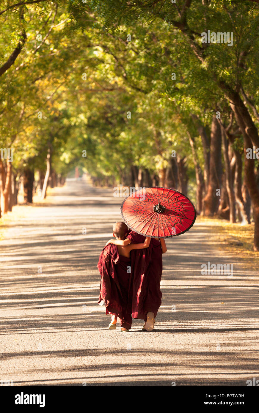 Zwei junge Mönche gehen Arm in Arm entlang einer Straße mit Sonnenschirm, Bagan, Myanmar (Burma), Asien Stockfoto