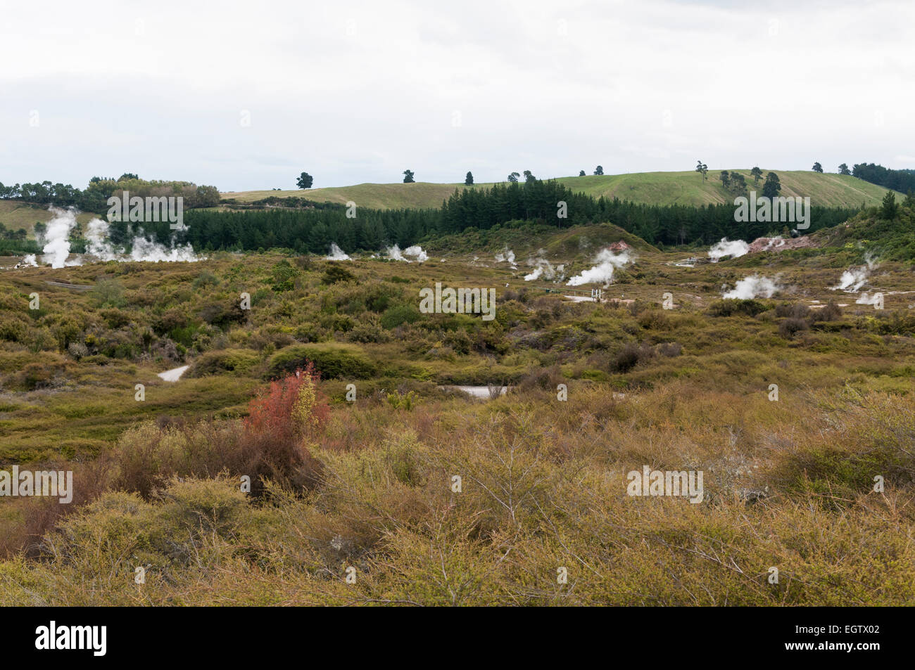 Krater des Bereichs Mond geothermische Taupo, Waikato, Nordinsel, Neuseeland. Stockfoto