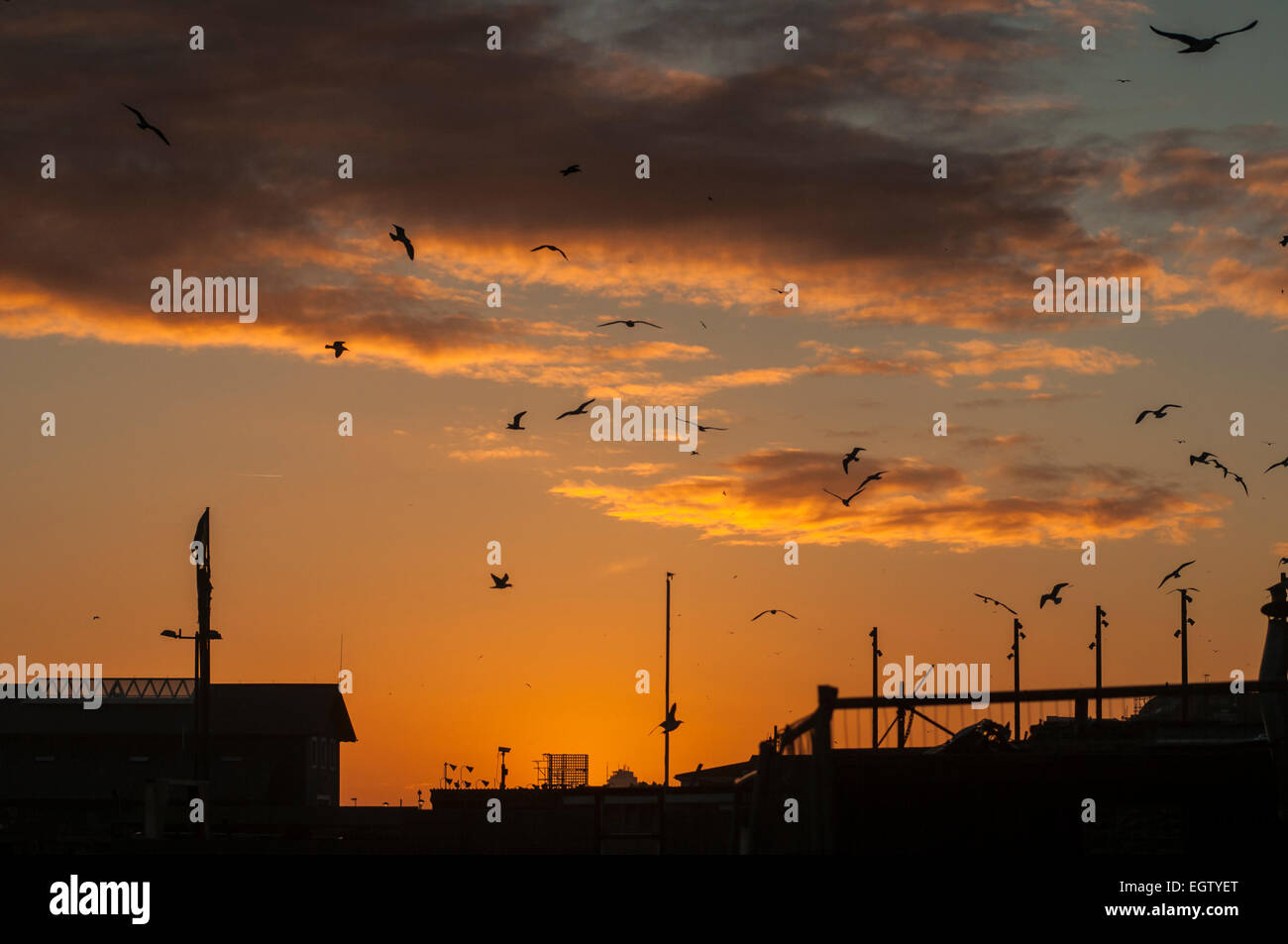 Hastings, East Sussex, Großbritannien. März 2015. Wetter in Großbritannien: Sonnenuntergang über der Fischfangflotte Der Altstadt Stockfoto