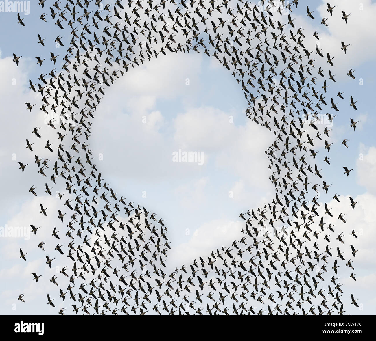 Menschliche Freiheit und Auswanderung Konzept als eine Gruppe von fliegenden Gänse als eine organisierte Vogelschwarm in Form von Kopf oder Gesicht pr Stockfoto