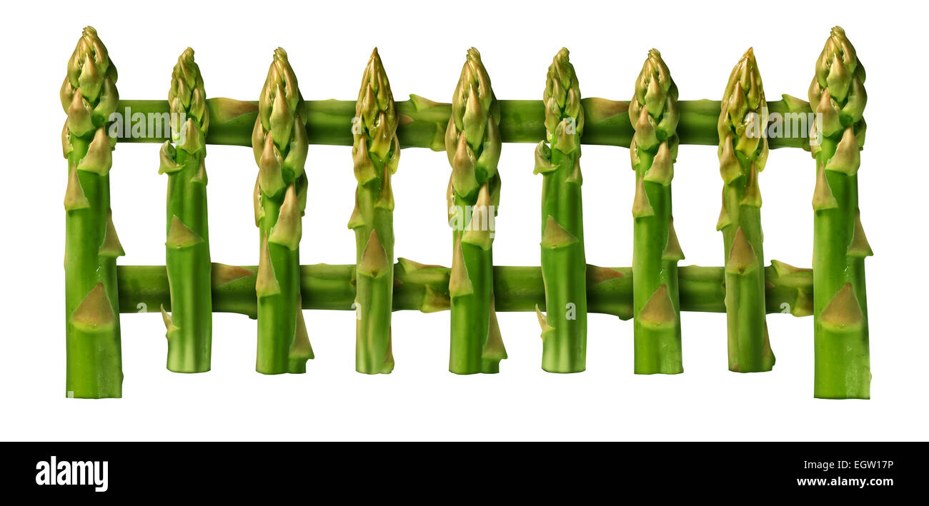 Gesunde Ernährung Streikposten Zaun Grenze Design-Element auf einem weißen Hintergrund als eine Gruppe von Spargel Gemüse wie gut isoliert Stockfoto