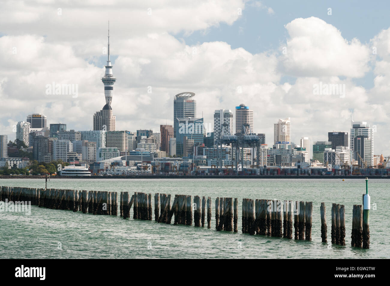 Auckland, Nordinsel, Neuseeland. Stockfoto