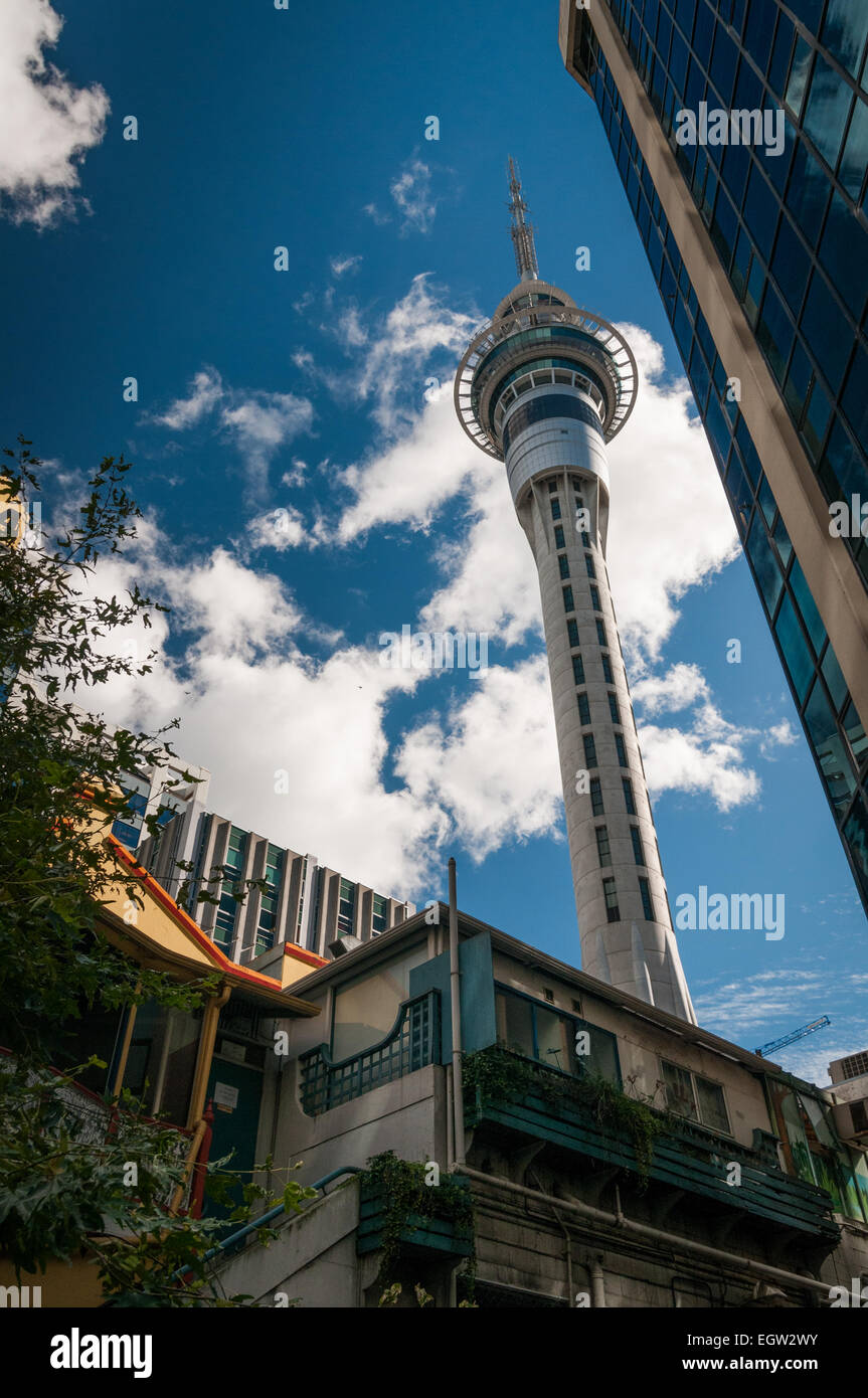 Der Skytower, Auckland, Nordinsel, Neuseeland. Stockfoto