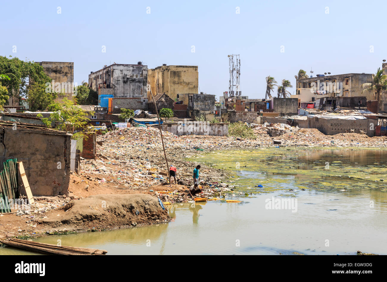 Armut in der Dritten Welt Lifestyle: Lokale Leute Müll sichten in Slums an den Ufern des verschmutzten Adyar Flussmündung in Chennai, Tamil Nadu, Südindien Stockfoto