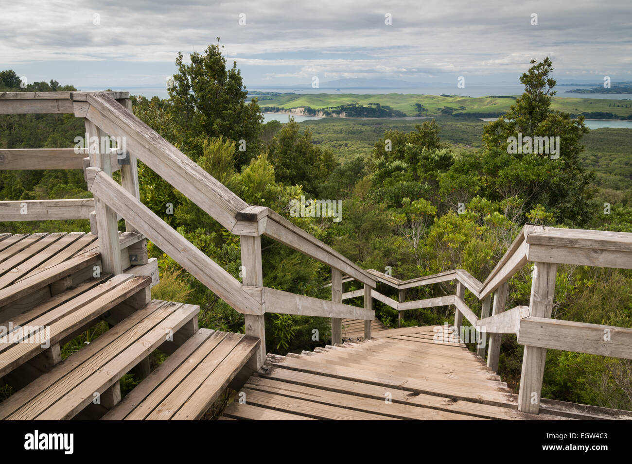 Rangitoto Island, Auckland, Nordinsel, Neuseeland. Stockfoto