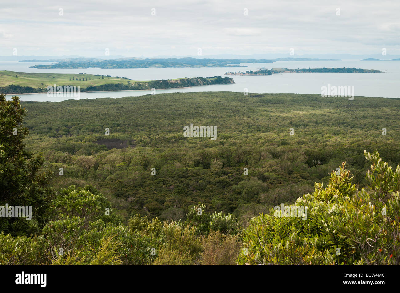 Rangitoto, Motutapu und Motuihe Inseln, Auckland, Nordinsel, Neuseeland. Stockfoto