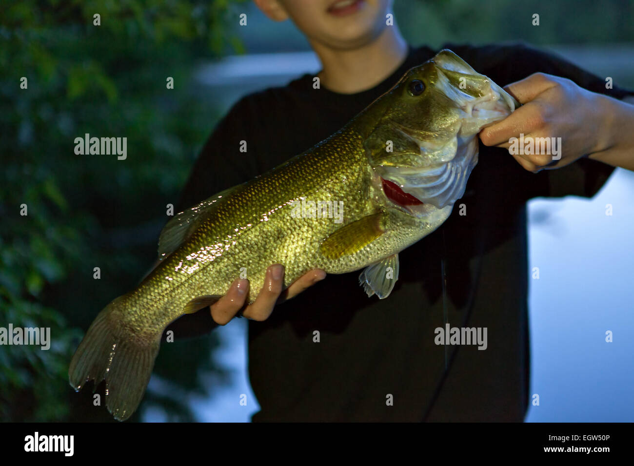 Bass Fishing Haken Stockfoto