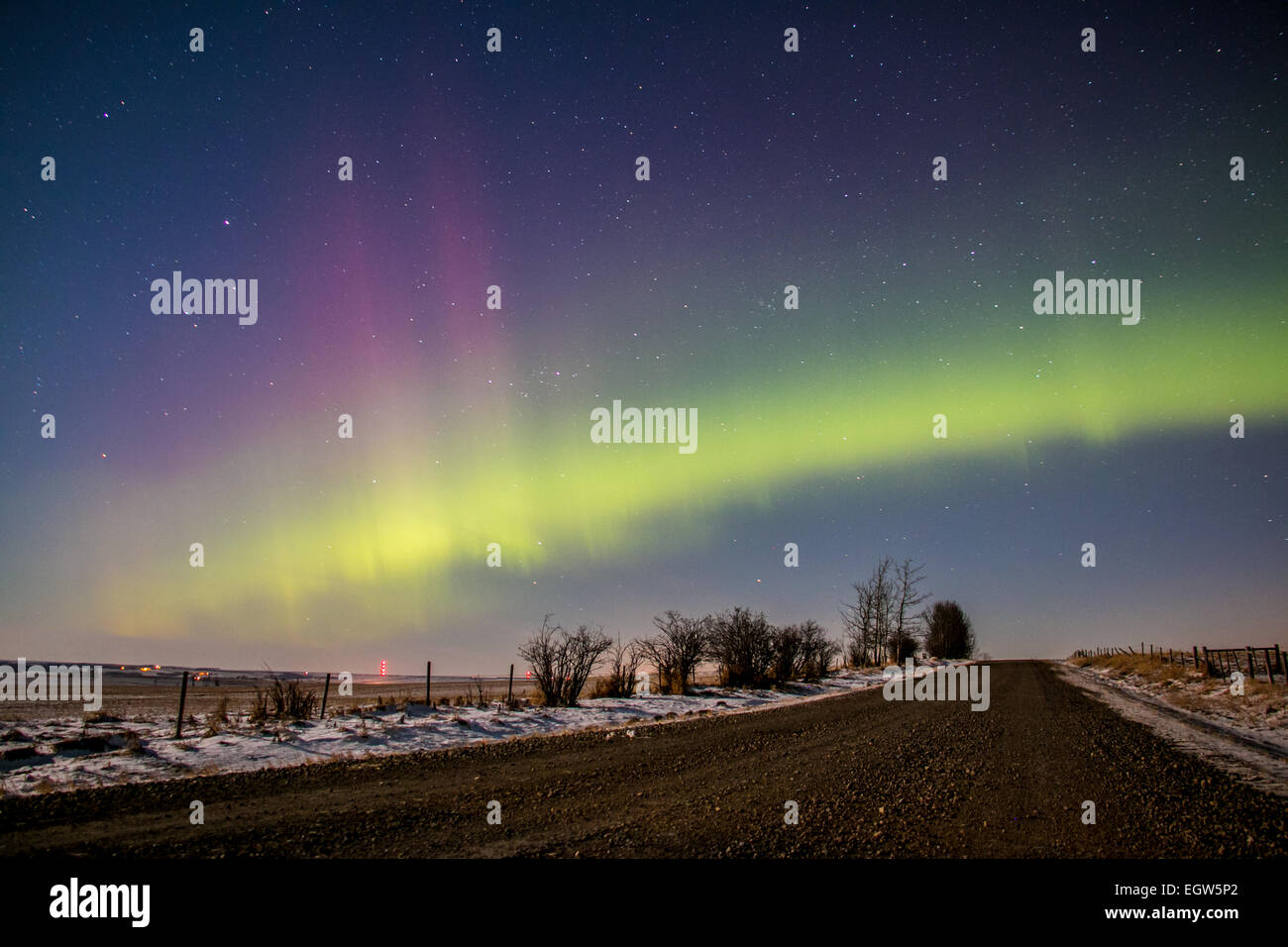 Calgary, Alberta, Kanada. 1. März 2015. Aurora Borealis tritt in der Regel in der Nähe von North Pole, aber kann manchmal schon als weit südwärts als Calgary gesehen. Bildnachweis: NisargMedia.com/Alamy Live-Nachrichten Stockfoto