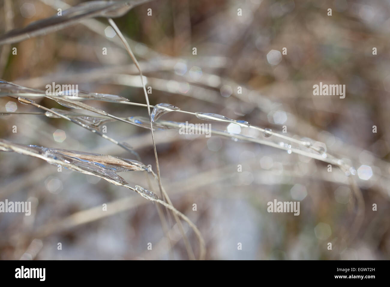 Extreme Wetter-Effekte auf äußeren Banken, NC von Winter Sturm Octavia. Stockfoto