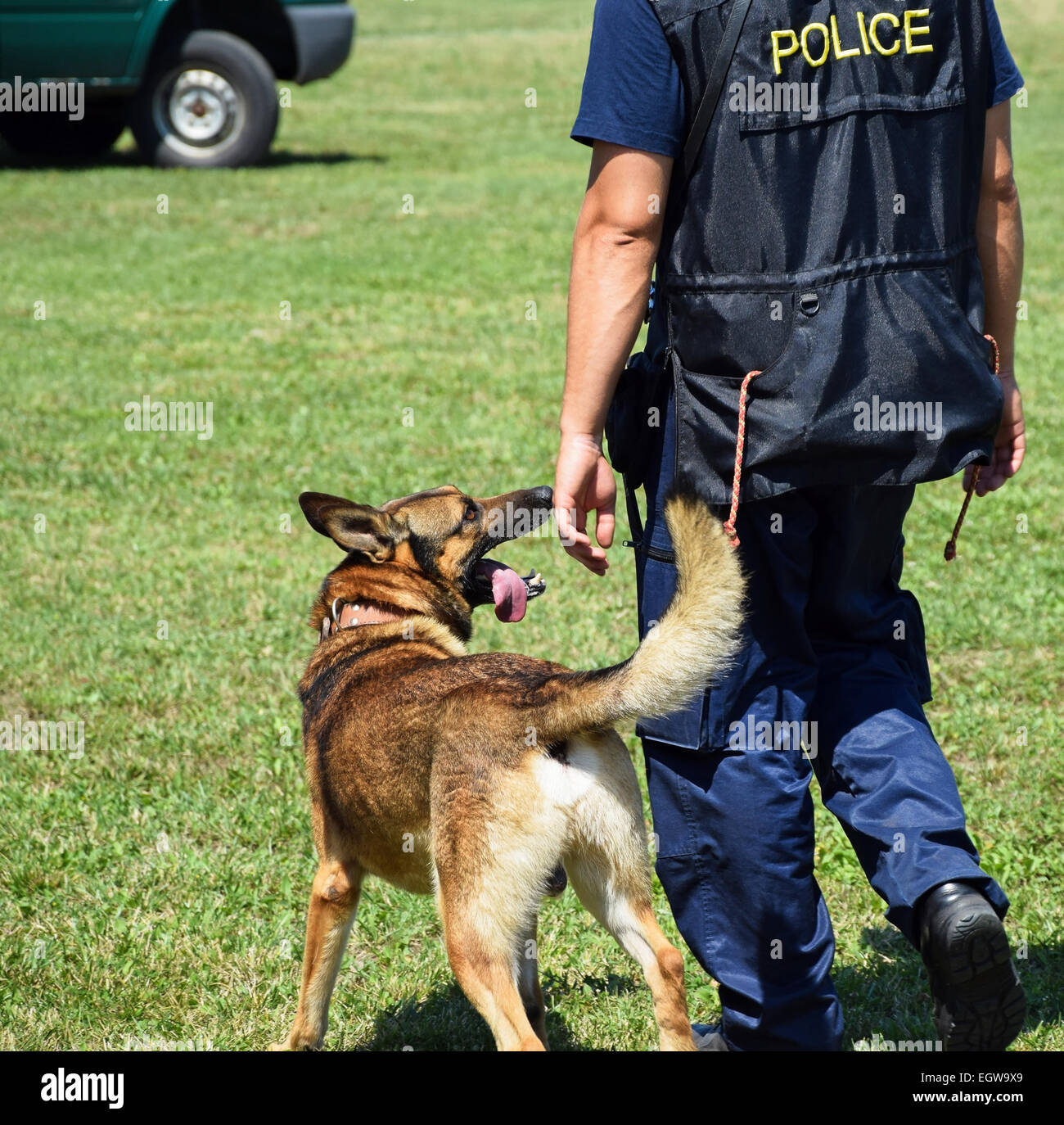 Polizist mit seinem deutschen Schäferhund Stockfoto