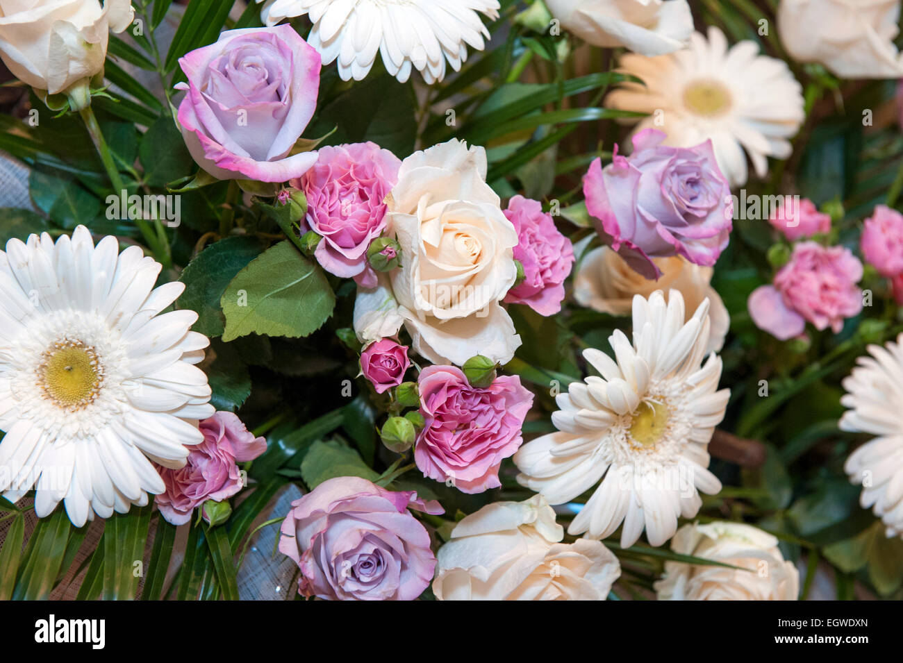 Zusammensetzung von bunten Blumen Stockfoto