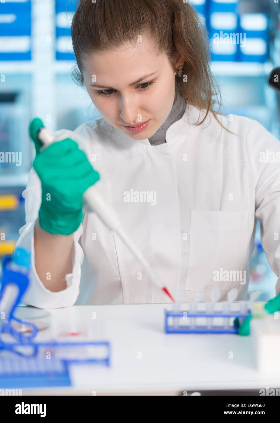 Weibliche Laborantin mit einer Pipette in ein wissenschaftliches Labor Stockfoto