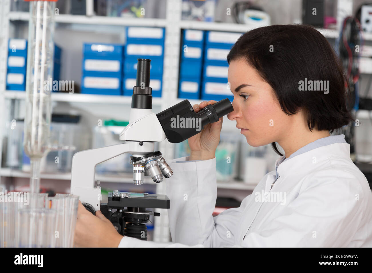 Wissenschaftler junge Frau unter Verwendung eines Mikroskops in einem wissenschaftlichen Labor Stockfoto