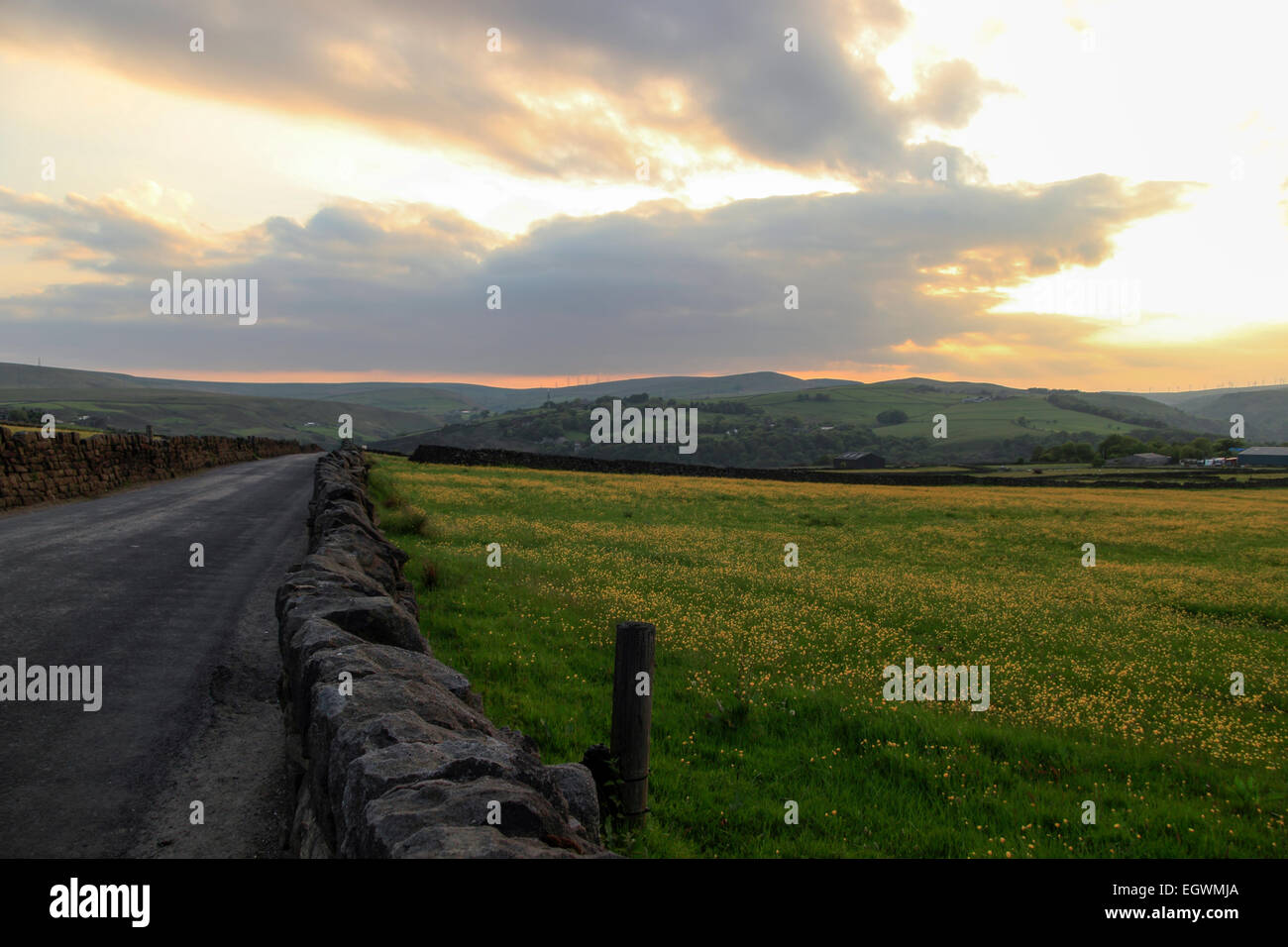 Feld neben einer Straße in Upper Calder Valley, mit einem Windpark in den Hintergrund, West Yorkshire, England, UK Stockfoto