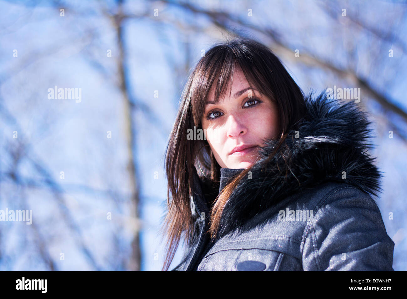 Porträt von einer hübschen Frau posiert im Wald im winter Stockfoto