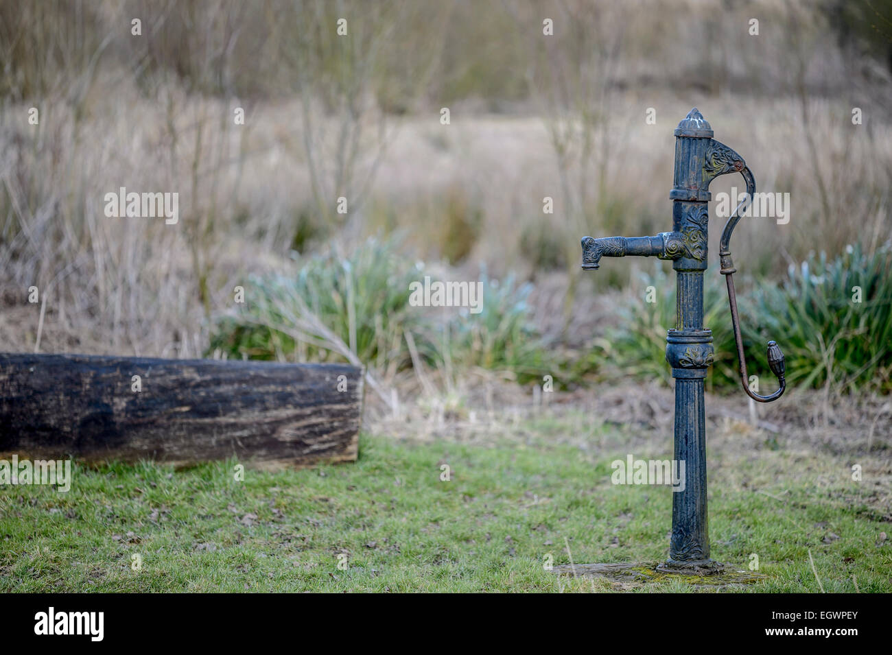 Alte, handbetriebene, positive Verschiebung, Hubkolben-Cast Iron gusseiserne Wasserpumpe in einem Yorkshire-Feld. Stockfoto