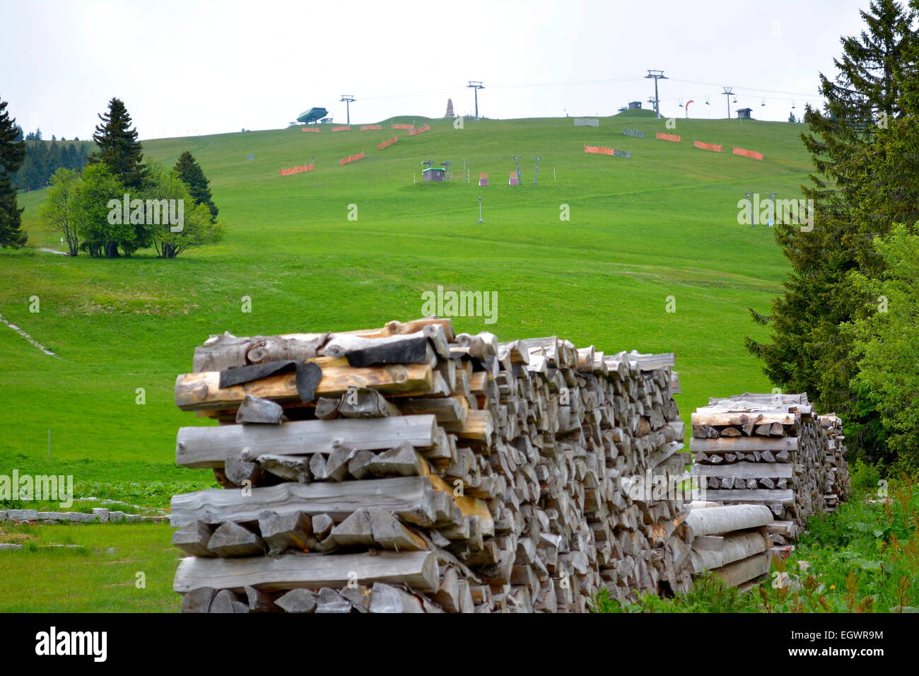 Schwarzwald, Baden-Württemberg-Schwarzwald, Feldberg, Brennholz Lagerung, Feldberg-Turm im Nebel, Stockfoto