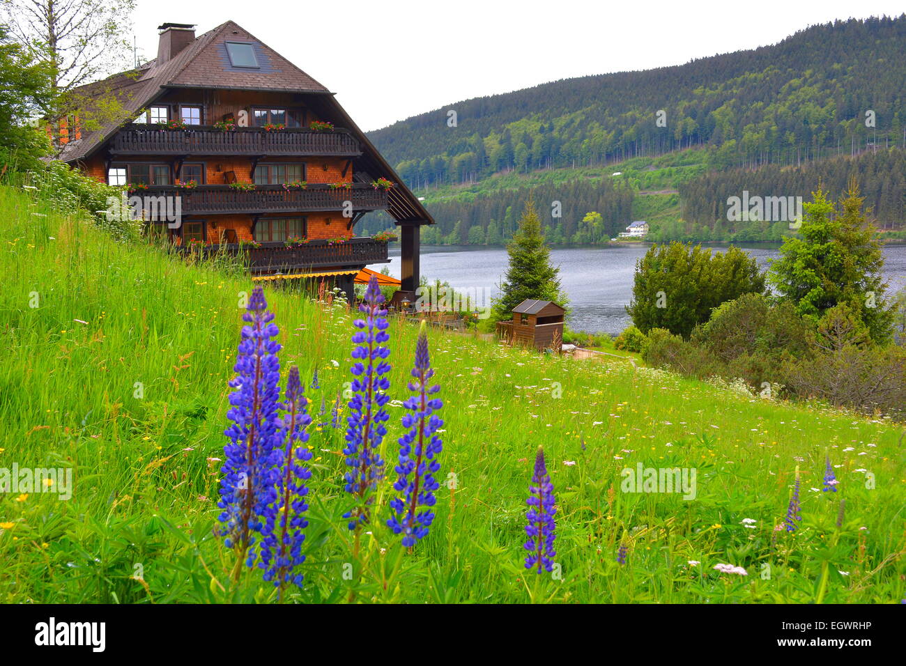 Schwarzwald, Baden-Württemberg, Schwarzwald, Titisee, Hotel Alemannenhof Stockfoto