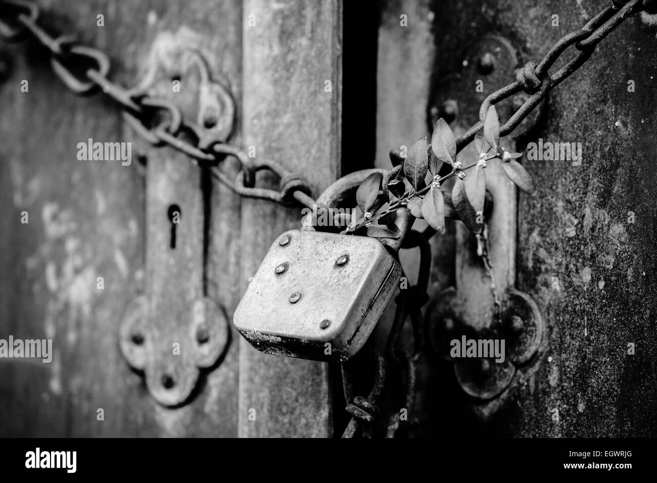 Bronzetüren mit Vorhängeschloss und Kette Monochrom Stockfoto