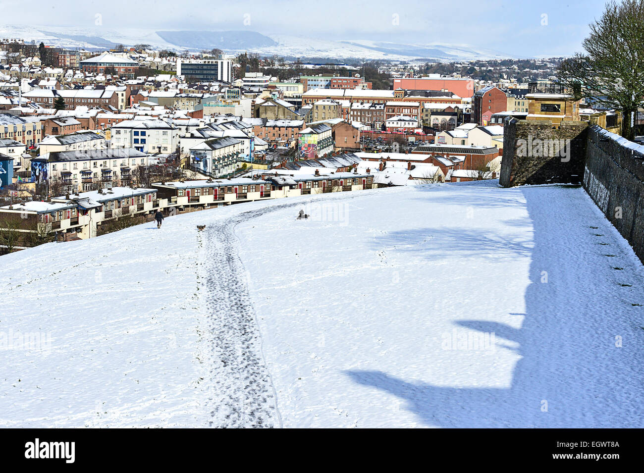 UK Wetter Schnee in Londonderry, Nordirland - 3. März 2015. Frau geht Hunde auf schneebedeckten Feld in Londonderry. Bildnachweis: George Sweeney/Alamy Live-Nachrichten Stockfoto